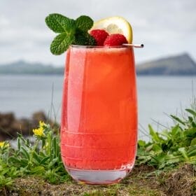 Refreshing Raspberry Collins Cocktail with Dingle Gin, Whisky Center