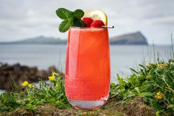 Refreshing Raspberry Collins Cocktail with Dingle Gin, Whisky Center